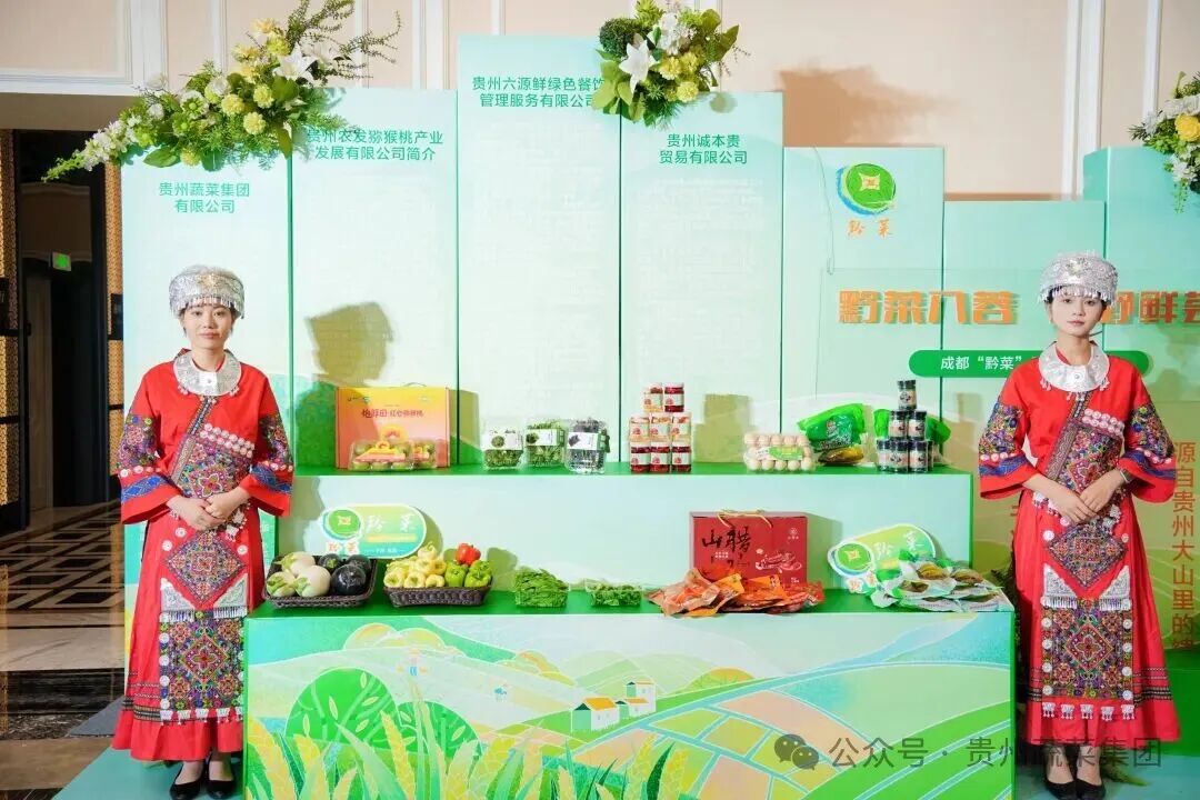 黔菜入蓉·山野鲜荟——贵州山野菜闪耀成都“黔菜”品牌推介会