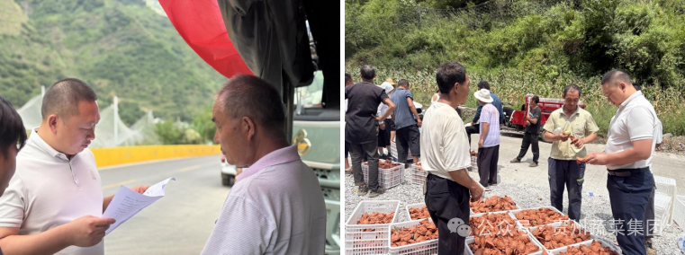 蔬菜集团工会“夏送清凉”活动秋日续力 关怀直达采收保供一线