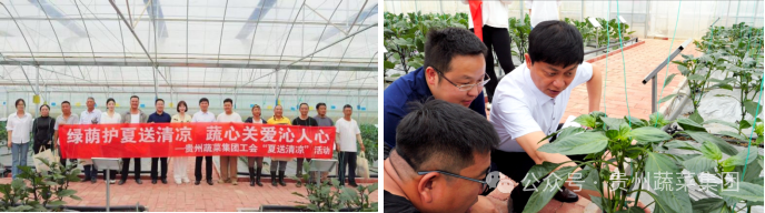 贵州蔬菜集团工会双线联动七月“夏送清凉”暖一线